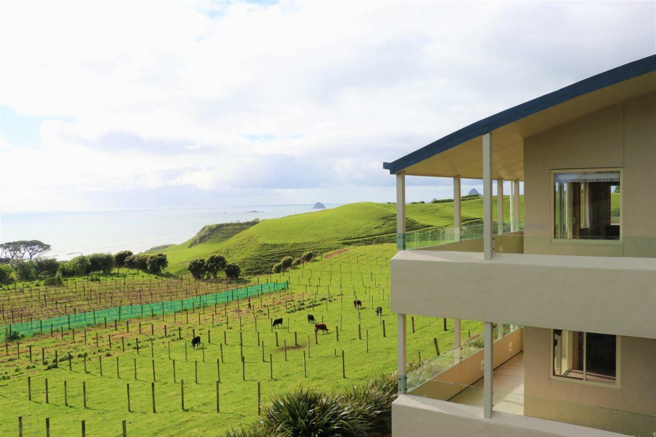 Chalets At Okurukuru ニュープリマス エクステリア 写真